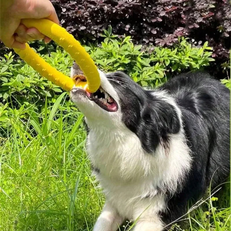 Indestructible Dog Ring Toy – Floating for All Sizes