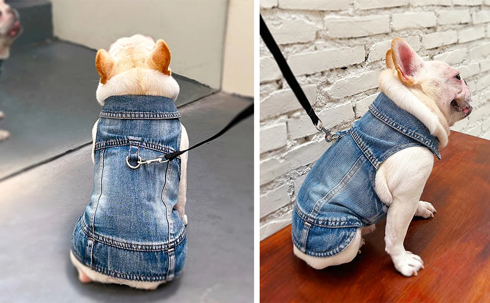 Denim Dog Vest Jacket – Lightweight All-Season Coat for Small Dogs