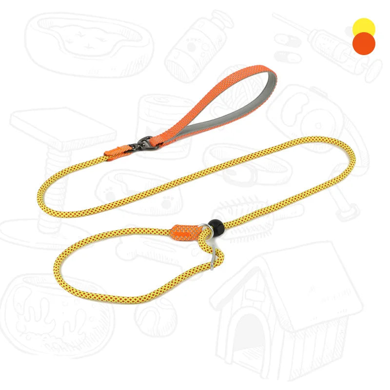 Dog Slip Leash – 2-in-1 Training Control