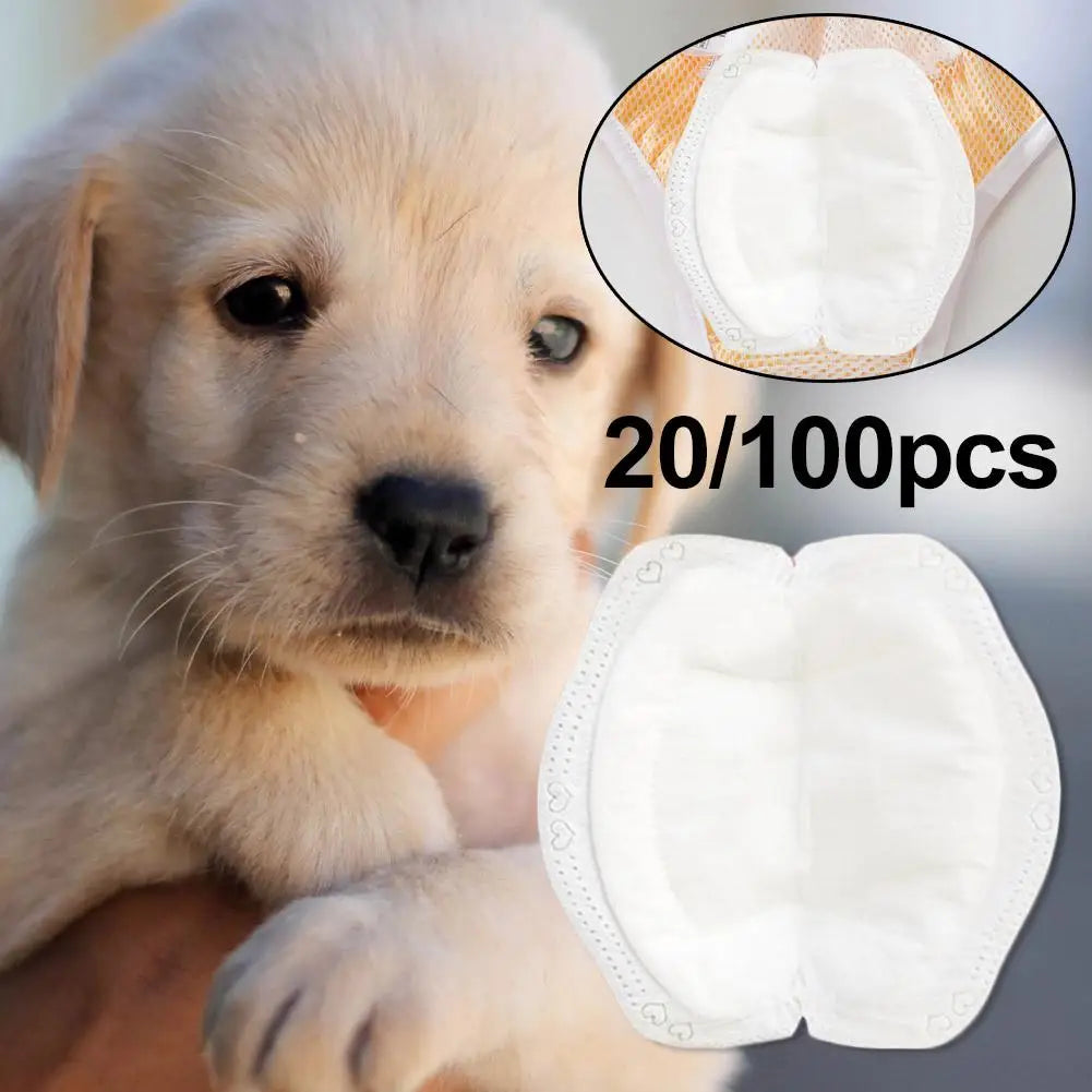 Dog Sanitary Pads – Absorbent Disposable Care Pads