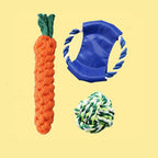 Carrot Cotton Rope Dog Toy – Teething for Small Breeds