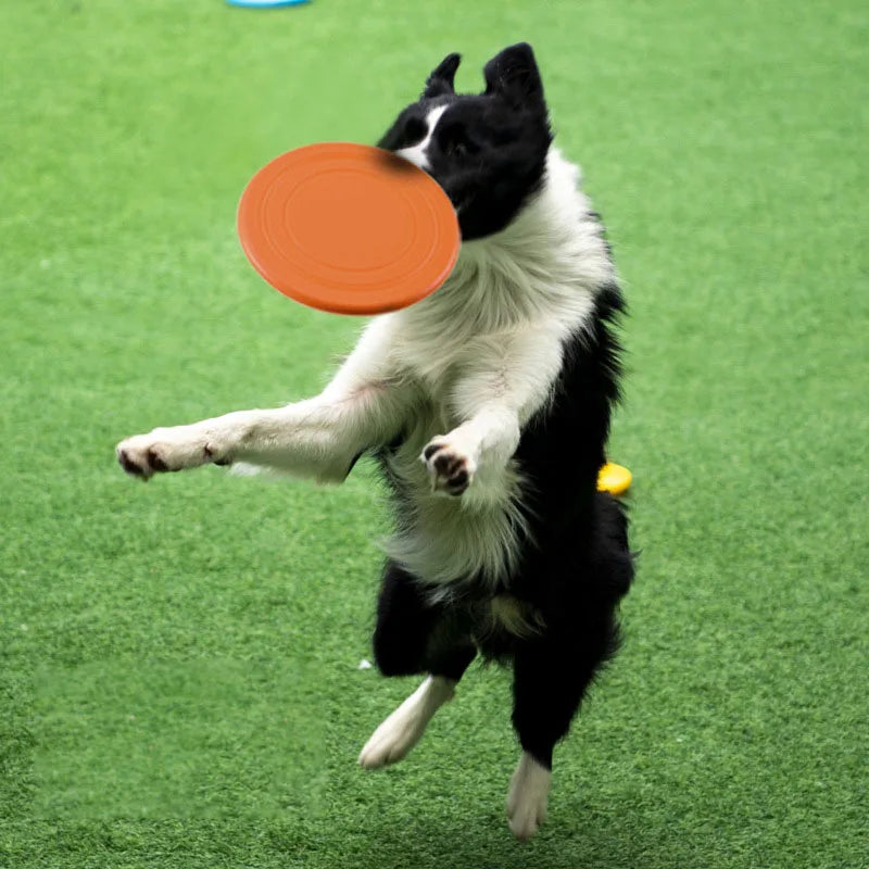Silicone Flying Disc for Dogs - 7 Colors