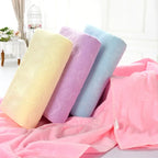 Microfiber Pet Bath Towel – Super Absorbent Dog Towel