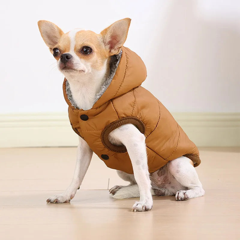 Thick Warm Dog Jacket – Autumn Winter Coat for Small Dogs