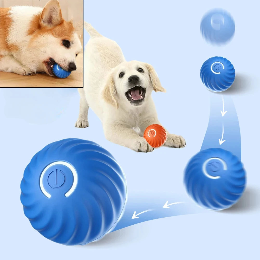 Automatic Moving Dog Ball – USB Smart Interactive Toy