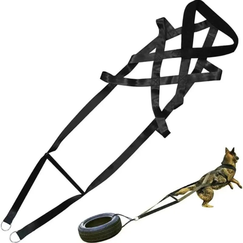 Dog Training Pull Leash – Strength & Resistance Harness