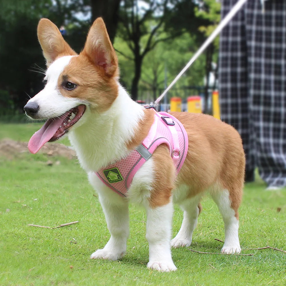 Reflective Dog Harness and Leash Set – No Pull Mesh Vest