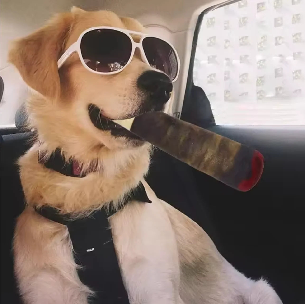 Cigar Design Plush Dog Toy — Funny Interactive Chew Toy for Small & Medium Dogs