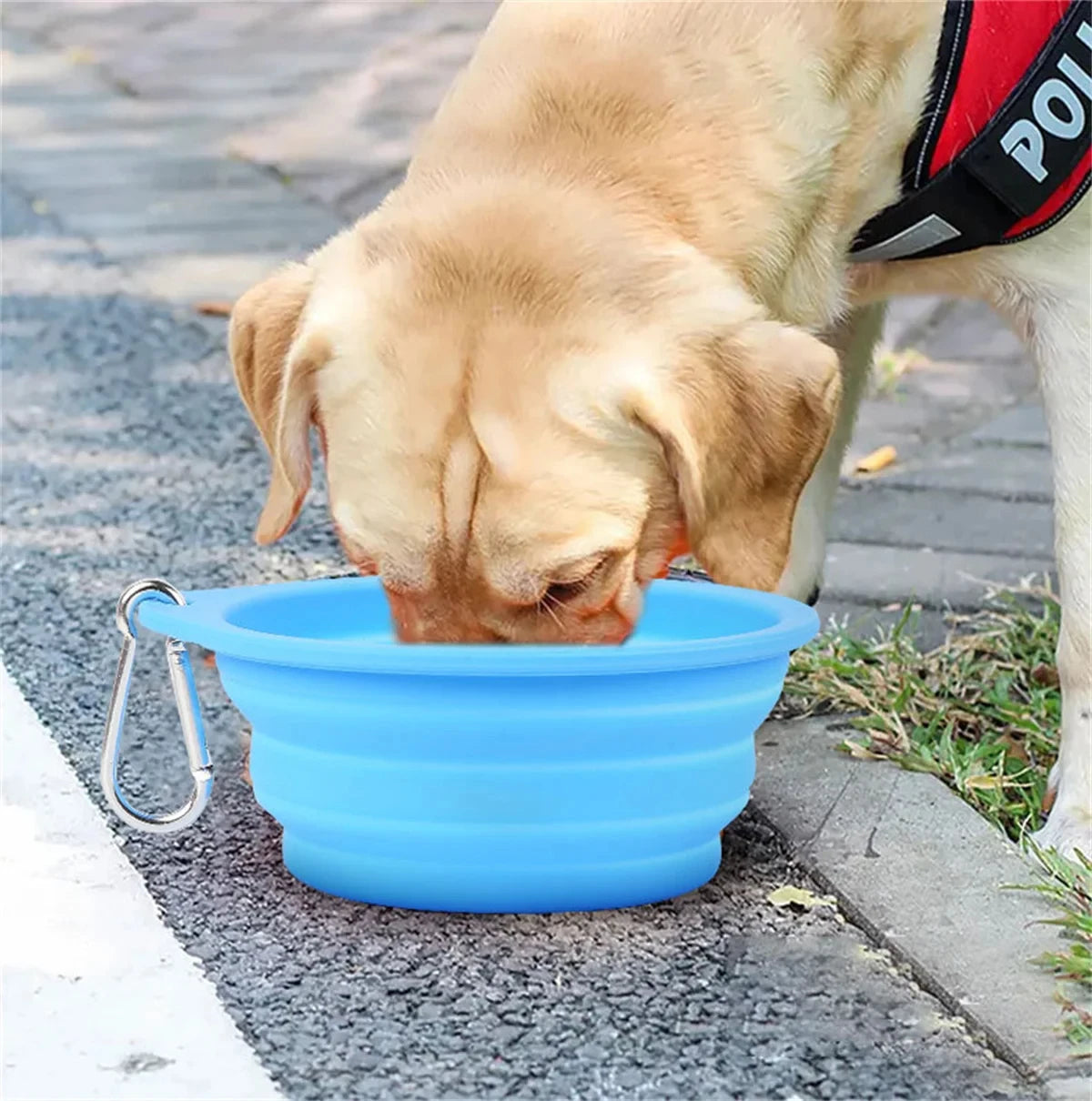 Collapsible Silicone Dog Travel Bowl – 350ml & 600ml Portable Feeder