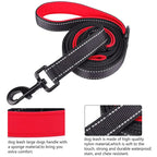 Dog Leash – Dual Handle Control