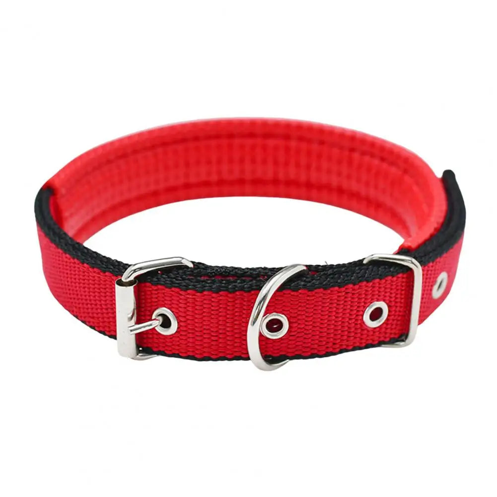 SANWOOD Adjustable Nylon Dog Collar with Traction Ring – Durable Fit All Breeds