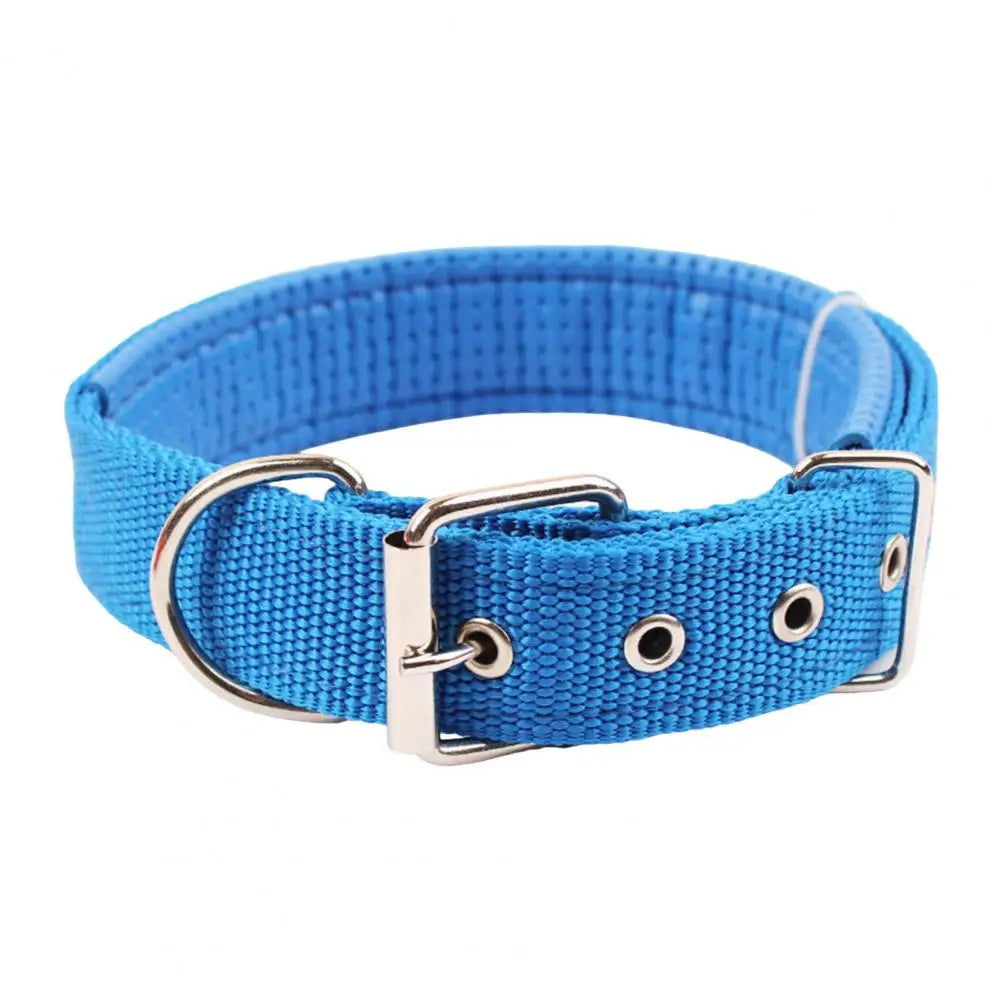 SANWOOD Adjustable Nylon Dog Collar with Traction Ring – Durable Fit All Breeds