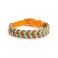 Colorful Dog Fashion Collar – Reflective Breakaway Neck Ring