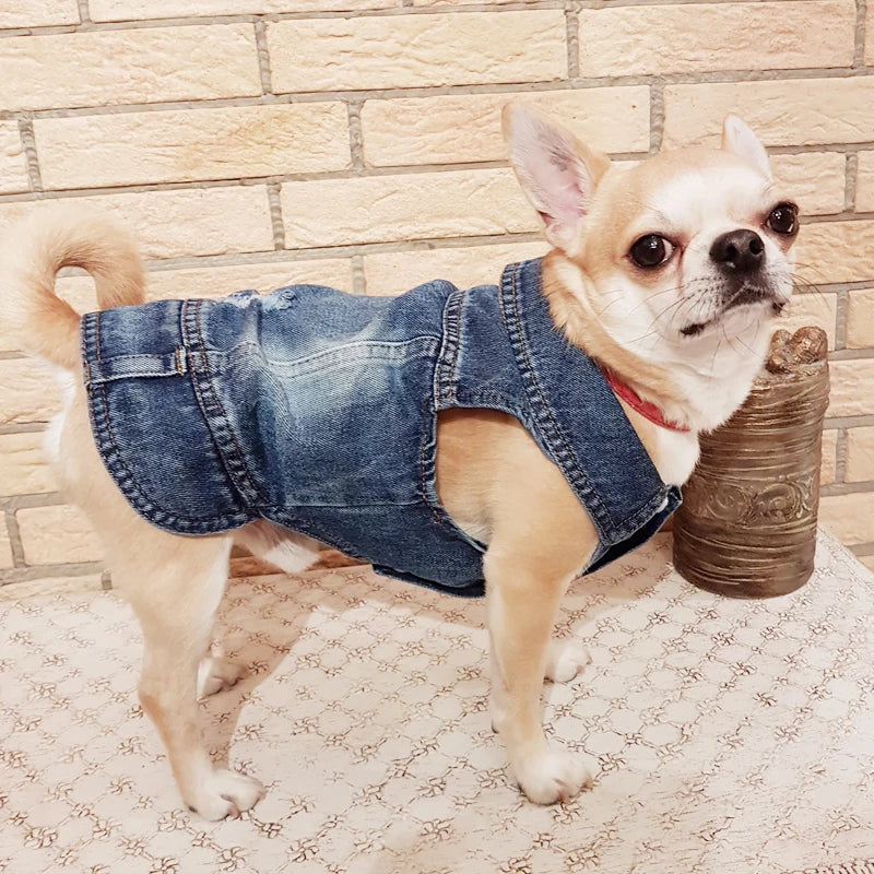 Denim Dog Vest Jacket – Lightweight All-Season Coat for Small Dogs