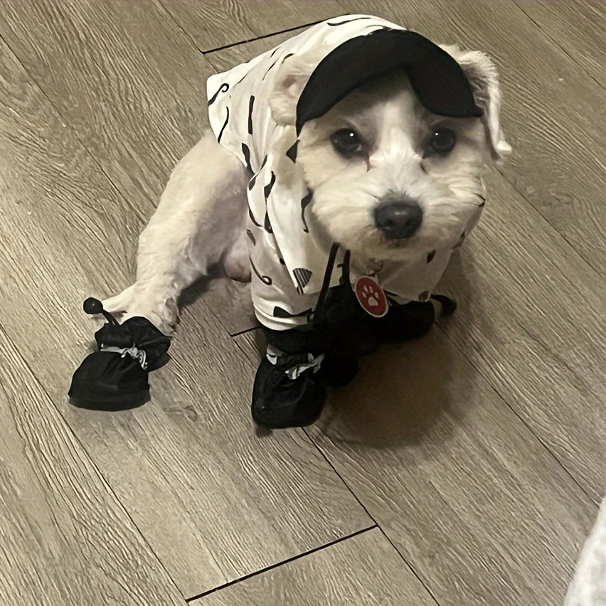 Dog Rain Boots – Waterproof Paw Protection