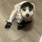 Dog Rain Boots – Waterproof Paw Protection