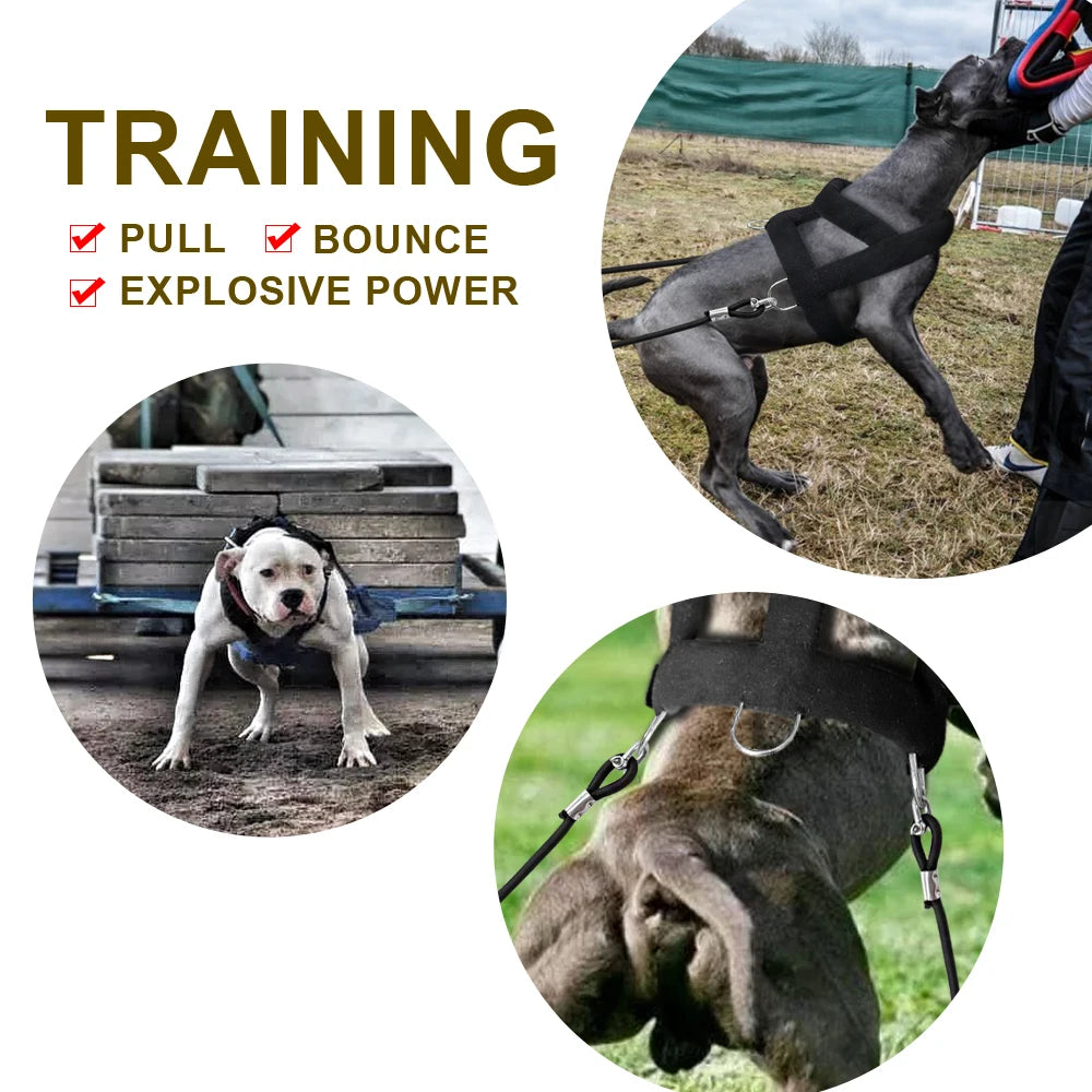Dog Pulling Harness – Weight Training Vest