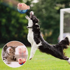 Cartoon Interactive Dog Toy – Smart Motion Play Ball