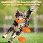 Durable Football Dog Toy for Aggressive Chewers – Floating Fetch