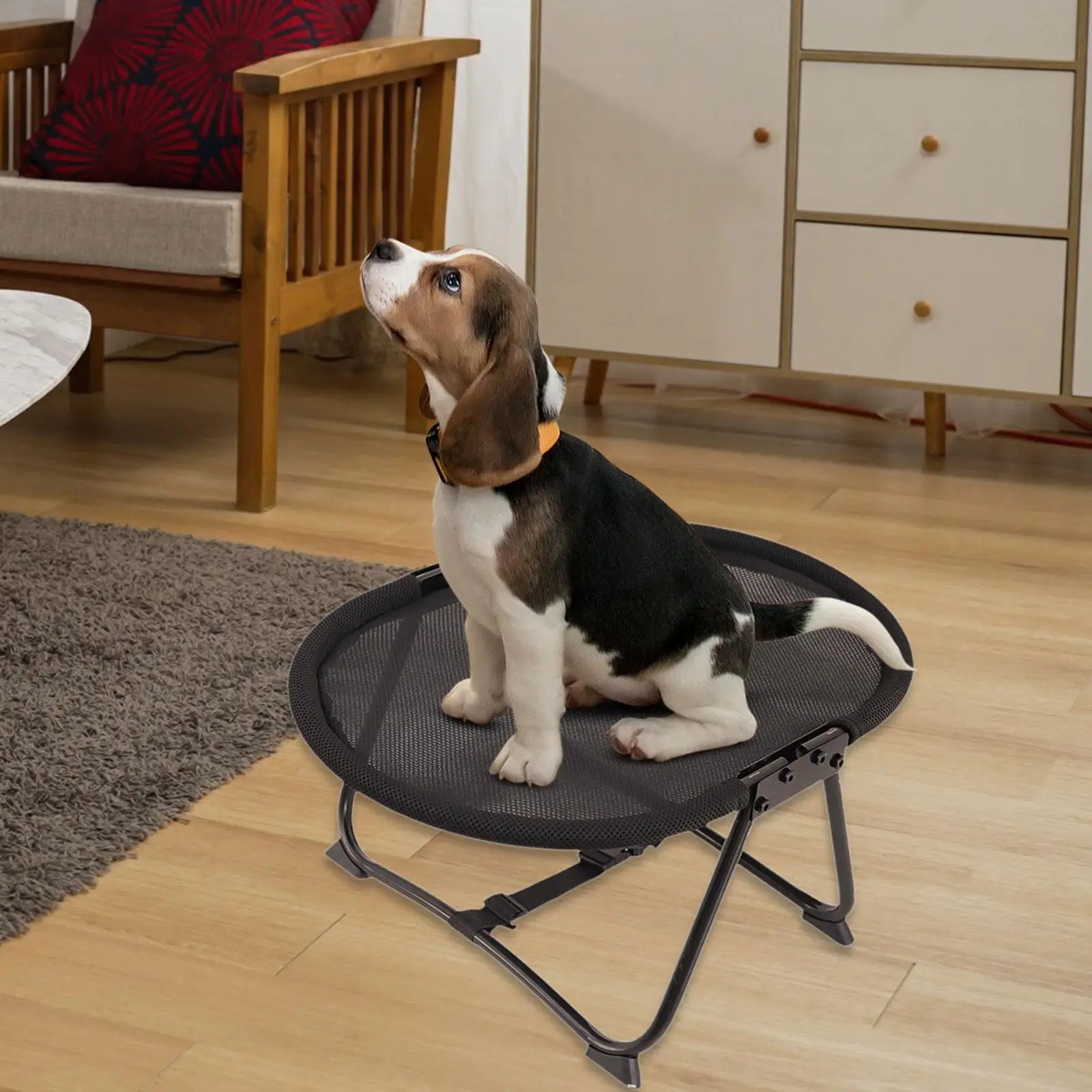Portable Elevated Dog Bed – Heavy Duty Metal Frame, Foldable with Storage Bag for Indoor Use