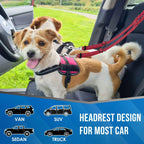 Dog Seat Belt – Dual Headrest Safety Leash