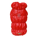 Didog Winter Padded Dog Coat – Windproof Warm Jacket for Small & Medium Dogs