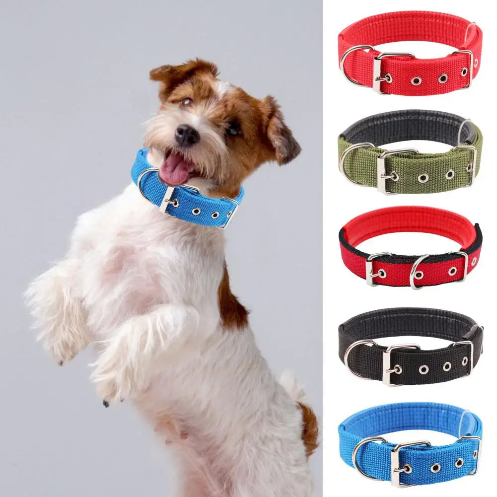 SANWOOD Adjustable Nylon Dog Collar with Traction Ring – Durable Fit All Breeds