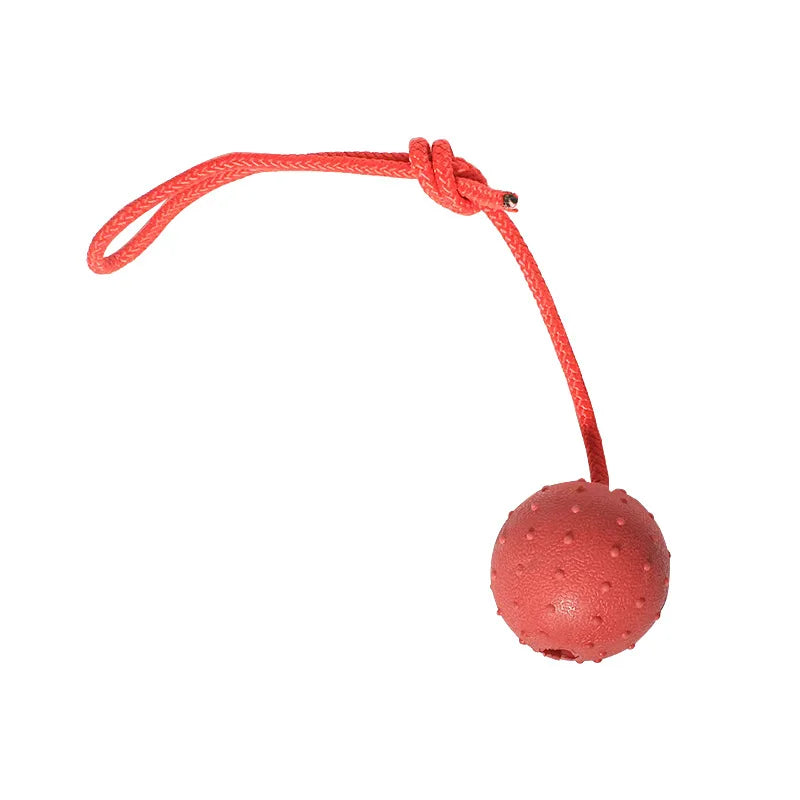 Solid Rubber Ball with Rope – Indestructible Dog Training Toy