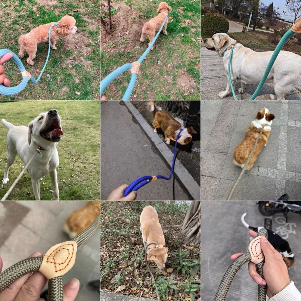 Dog Slip Leash – Braided Rope Control