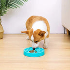 Interactive Slow Feeder Dog Bowl – Anti-Gulping Maze Dish