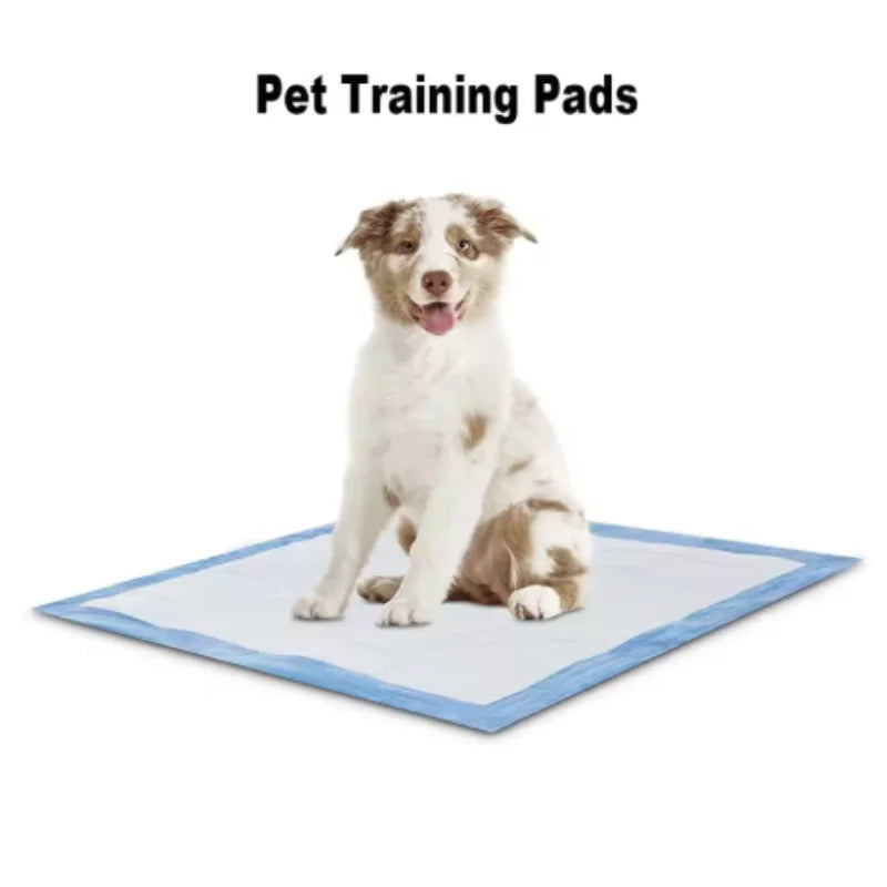 Dog Pee Pads – Super Absorbent Leakproof Training Pads
