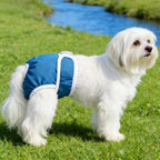Female Dog Diapers – Reusable Waterproof Washable Pants