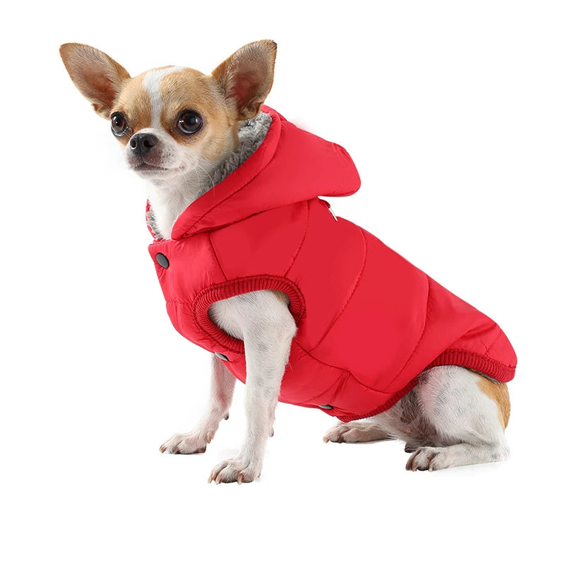 Thick Warm Dog Jacket – Autumn Winter Coat for Small Dogs