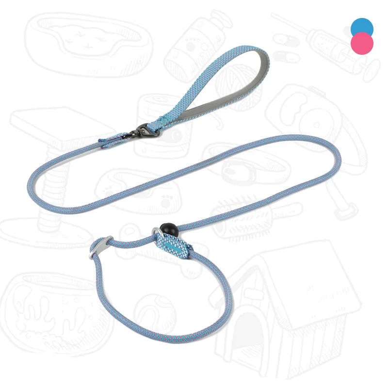 Dog Slip Leash – 2-in-1 Training Control