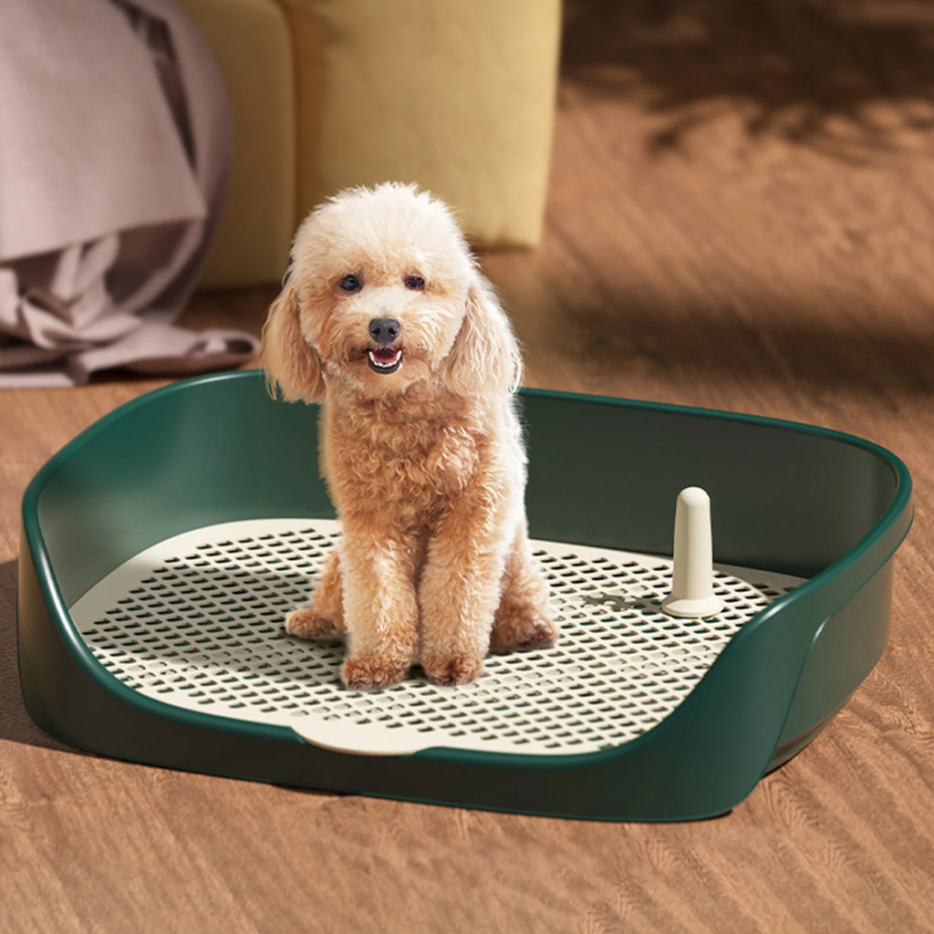 Dog Potty Tray – Portable Training Toilet