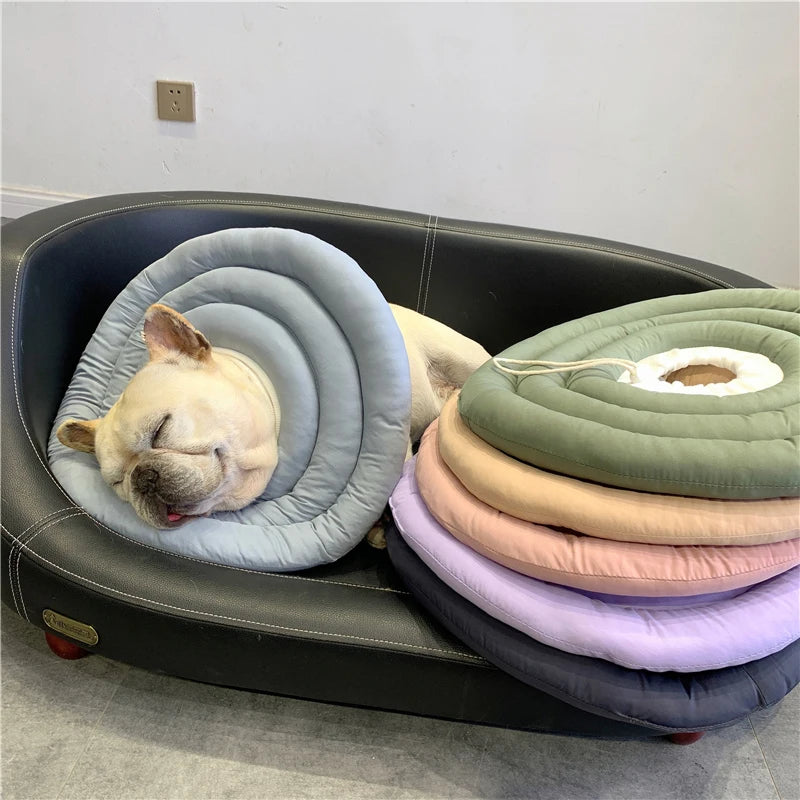 Dog Recovery Collar – Soft Protective Cone