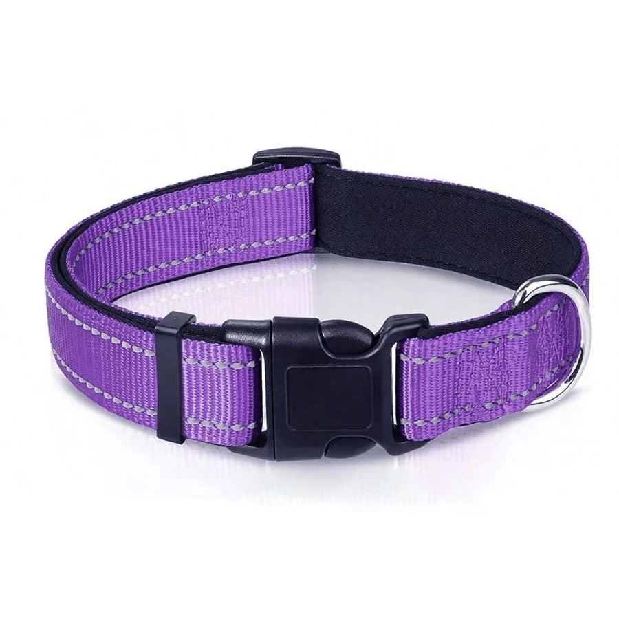 Reflective Dog Collar – Soft Padded Adjustable Night Safety