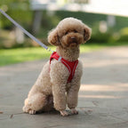 Reflective Nylon Dog Harness – Quick Release Small Breed