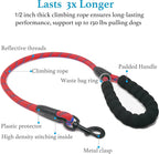 Dog Double Leash – Tangle-Free Bungee Control