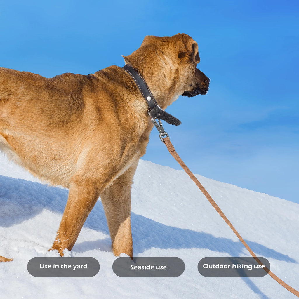 Long Dog Leash – Heavy Duty Waterproof Training Lead