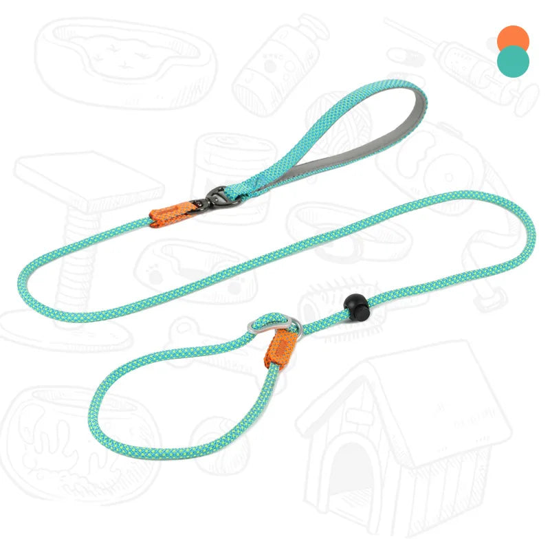 Dog Slip Leash – 2-in-1 Training Control
