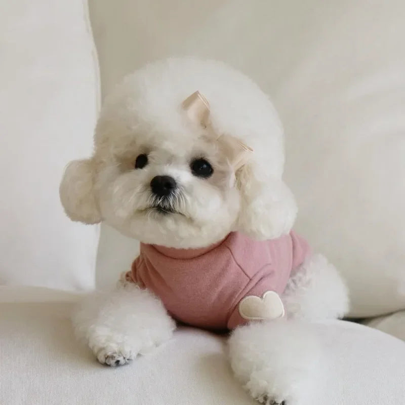 Cute Bear Dog Hoodie – Soft Winter Pet Sweater