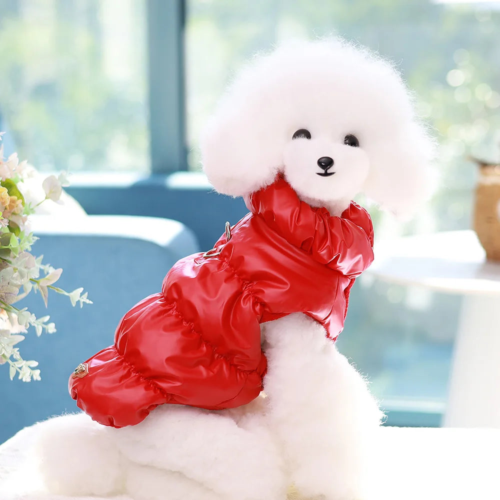 Didog Winter Padded Dog Coat – Windproof Warm Jacket for Small & Medium Dogs