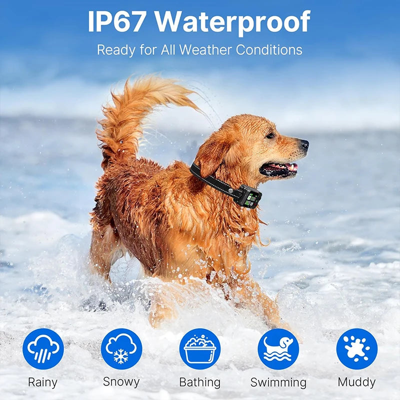Dog Training Collar – GPS Wireless Fence