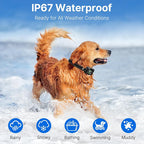 Dog Training Collar – GPS Wireless Fence