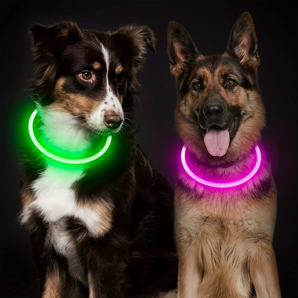 USB Rechargeable LED Dog Collar – Reflective Night Safety Black