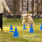 Dog Agility Training Set – Jumping Bar & Obstacle Course Kit