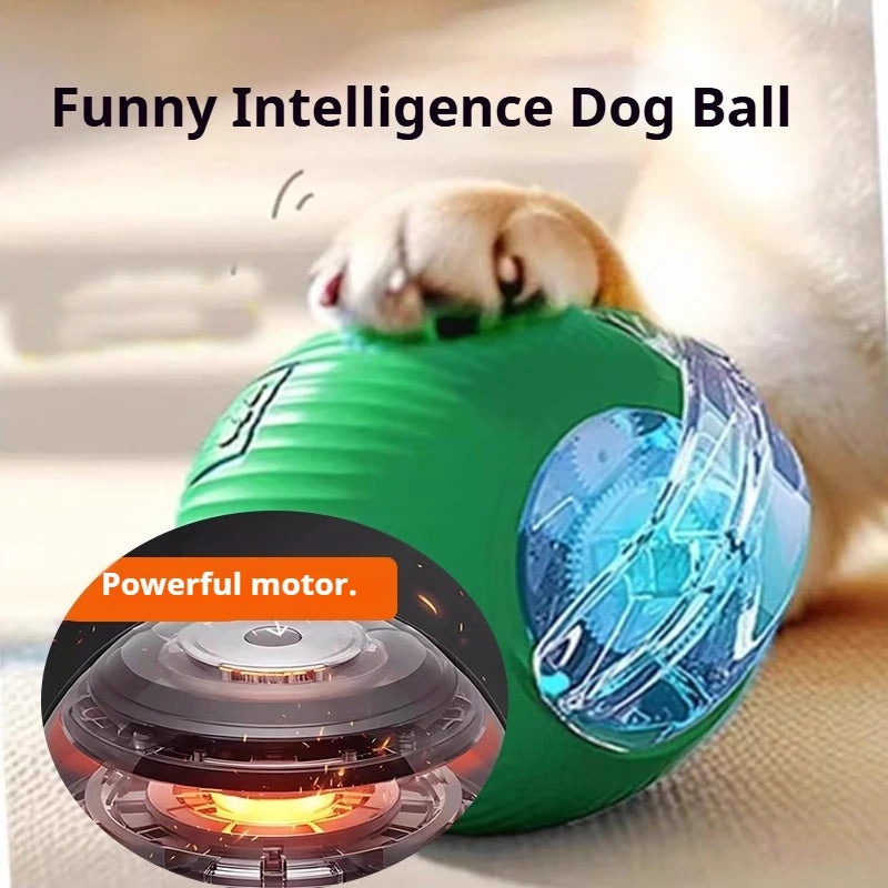 Automatic Rolling Dog Ball – Rechargeable Smart Interactive Toy
