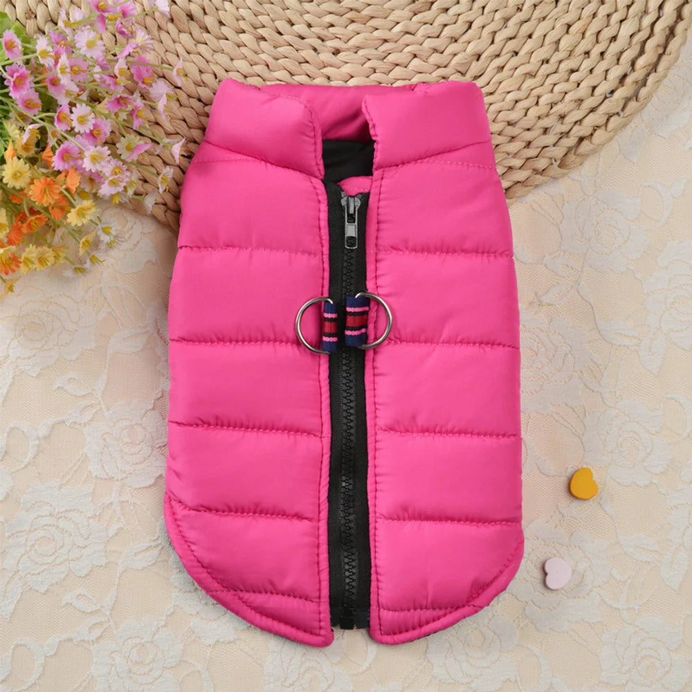 Beirui Winter Dog Coat – Warm Vest for Small Dogs