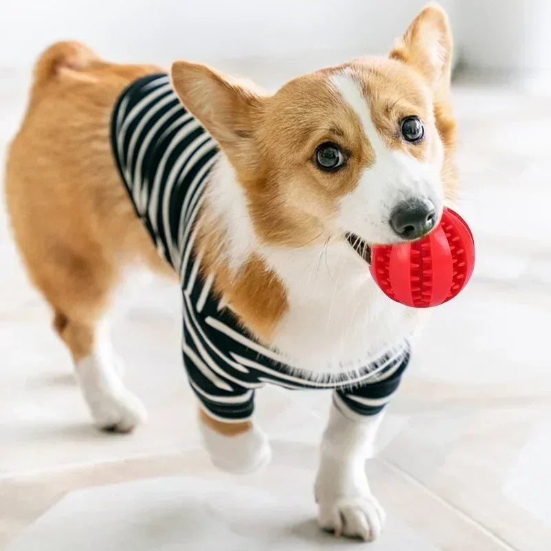 Rubber Chew Ball - Dental Care & Treat Dispensing for Dogs